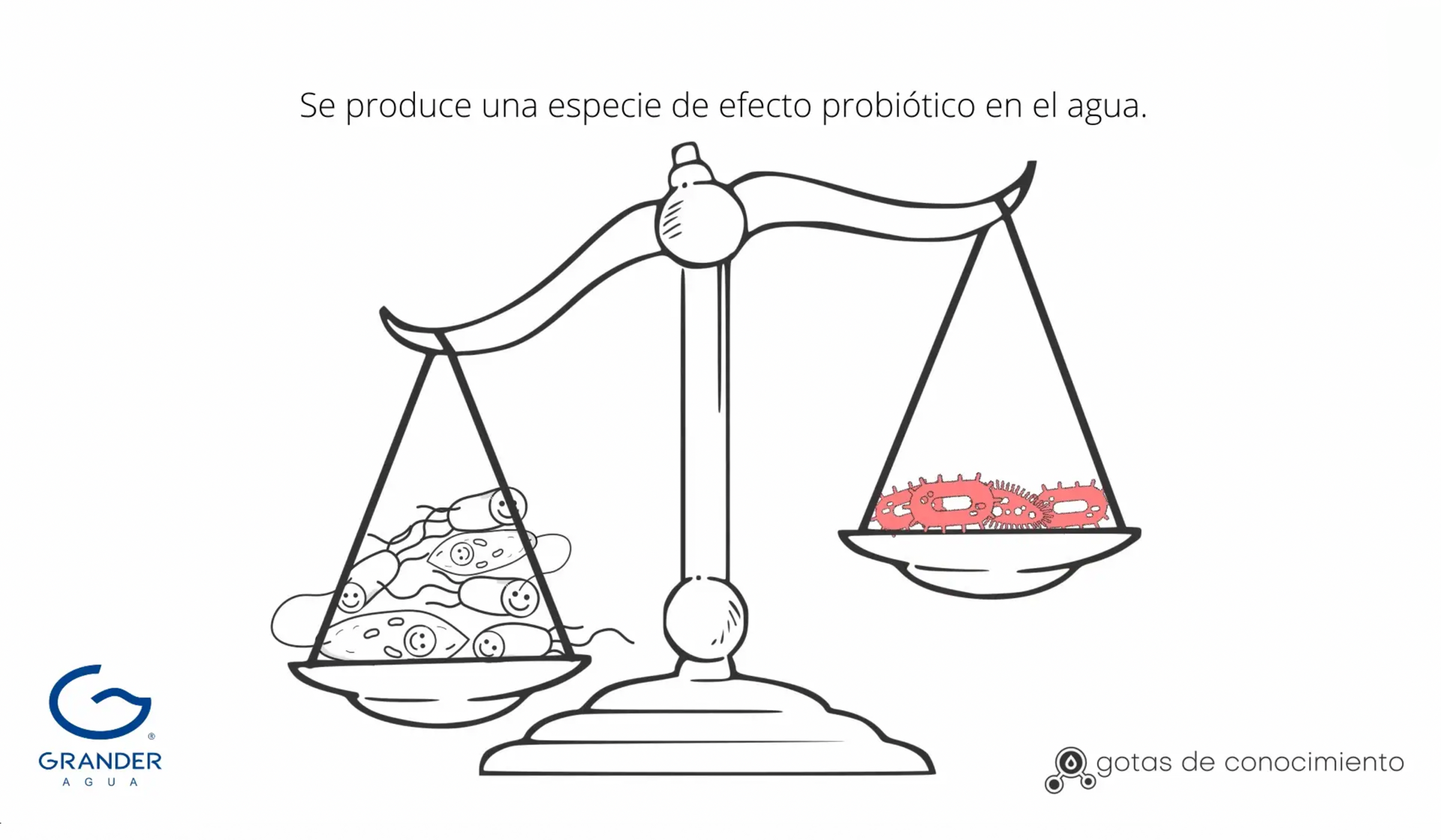 Estudio Microbiología